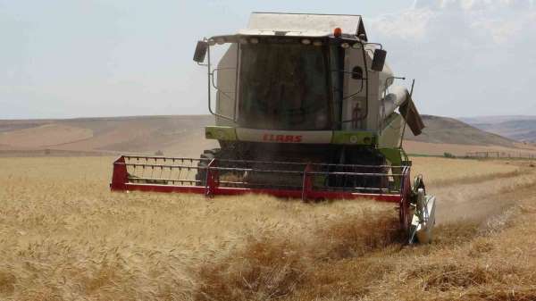 Siirtli çiftçinin 310 bin dekar buğday tarlasından beklentisi 160 bin ton üzeri