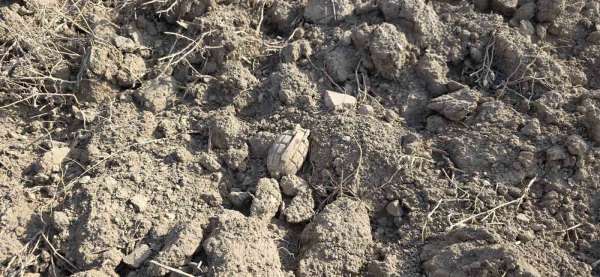 Tarlada Sakarya Meydan Muharebesinden kalma patlamamış el bombası buldu