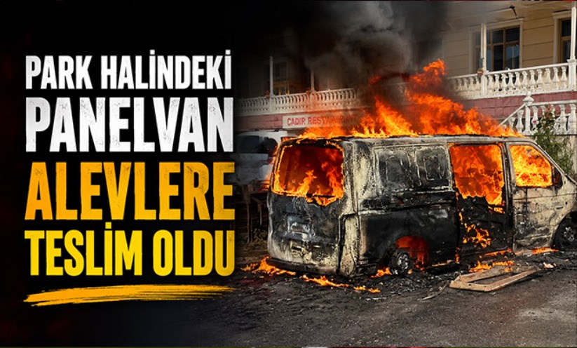Park halindeki panelvan alevlere teslim oldu