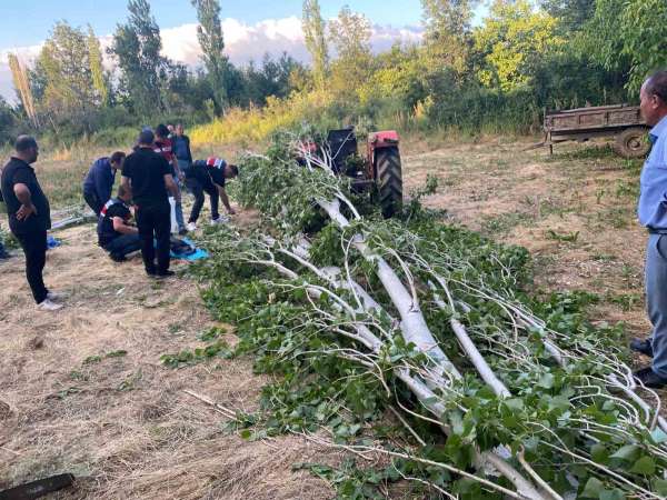 Isparta'da kestiği ağacın altında kalan adam hayatını kaybetti
