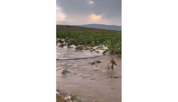 Kayseri'de tarım arazileri sular altında kaldı
