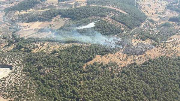 Milas'ta çıkan zirai yangın kısa sürede kontrol altına alındı