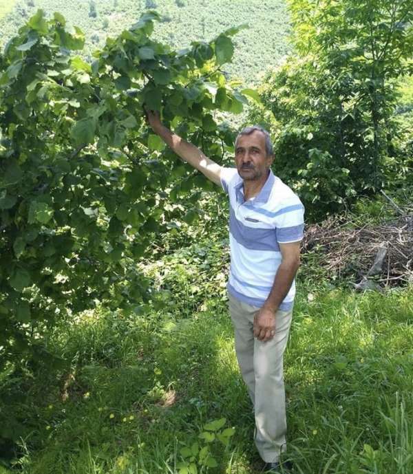 Düğünde maganda kurşunu ile hayatını kaybetti 
