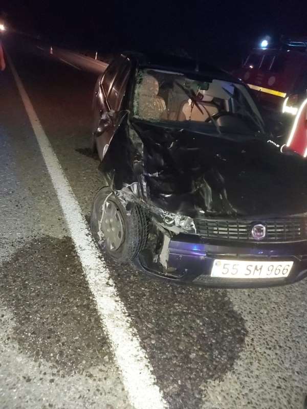 Türkeli'de otomobil büyükbaş hayvanlara çarptı: 2 yaralı 