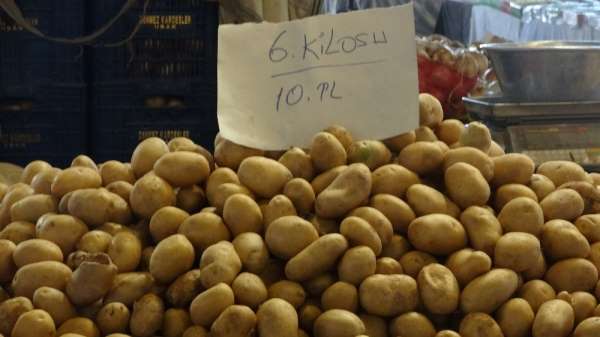 Türkiye'de bu yıl 5 milyon ton patates üretimi bekleniyor 