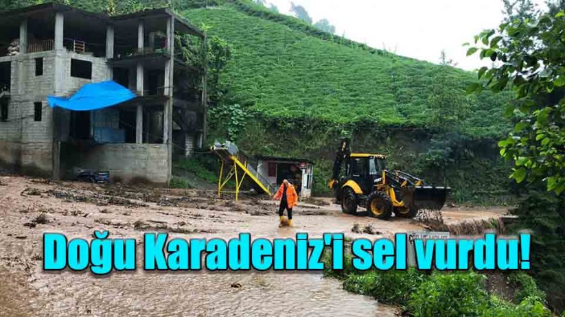 Doğu Karadeniz'i sel vurdu!