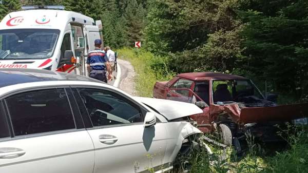 Bolu'da ormanda çilek toplamak için park edilen araç kazaya sebep oldu: 2 yaralı