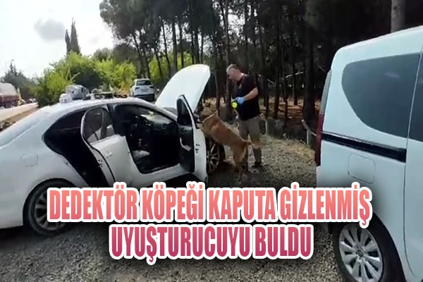 Narkotik dedektör köpeği kaputa gizlenmiş uyuşturucuyu buldu