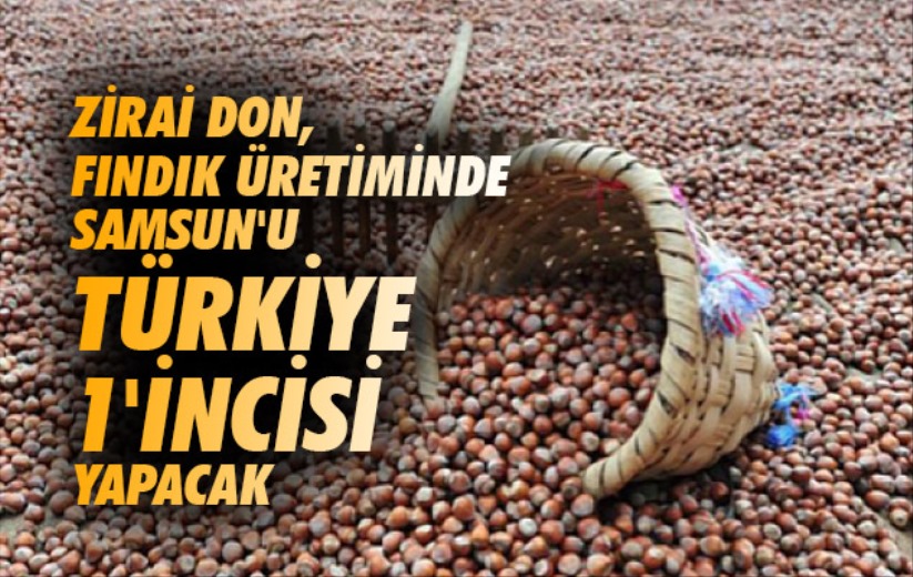 Zirai don, fındık üretiminde Samsun'u Türkiye 1'incisi yapacak