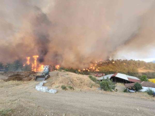 Bilecik'teki orman yangınında alevler Kazancı köyüne ulaştı