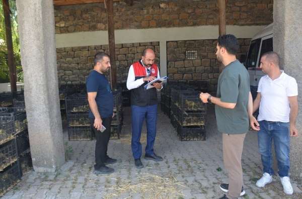 Bulanık'ta 'Kaz Yetiştiriciliği' projesi kapsamında kaz palazı dağıtıldı