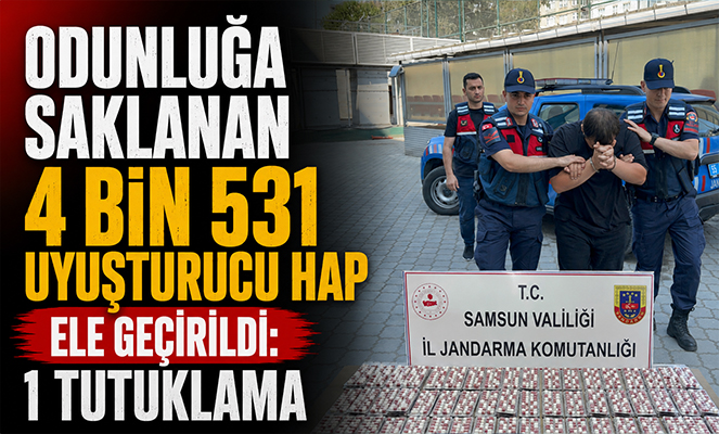 Odunluğa saklanan 4 bin 531 uyuşturucu hap ele geçirildi: 1 tutuklama