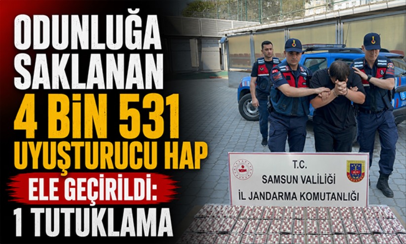 Odunluğa saklanan 4 bin 531 uyuşturucu hap ele geçirildi: 1 tutuklama