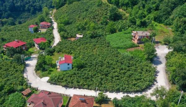 Çaybaşı'nda grup yolu betonla buluşturuluyor