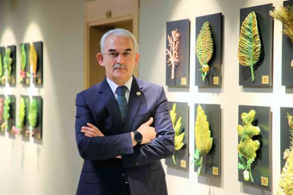 Türkiye'ye lavanta ihracatı ile 5 yılda ekosisteme 765 bin dolar döviz girdisi sağlandı