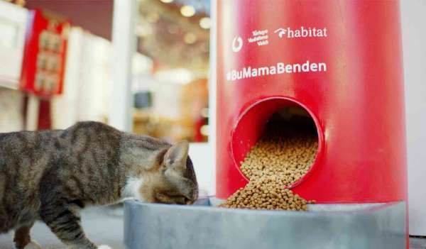 Pet shop alışverişi sokak hayvanları için mamaya dönüşüyor