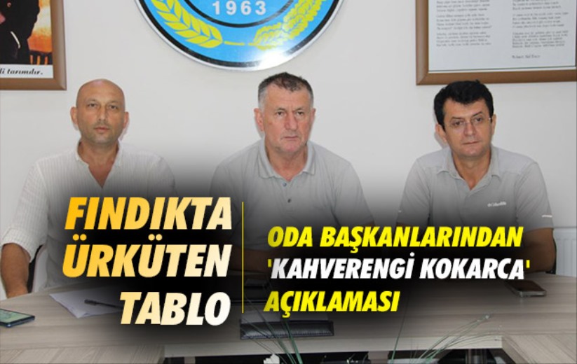 Samsun'da oda başkanlarından 'kahverengi kokarca' açıklaması