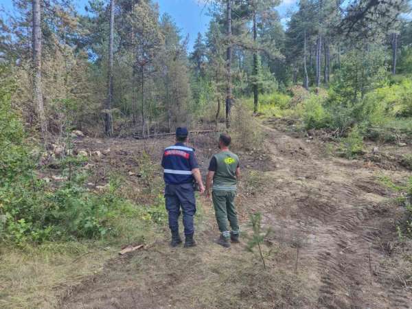 Sinop'ta jandarma orman yangınlarına karşı teyakkuzda