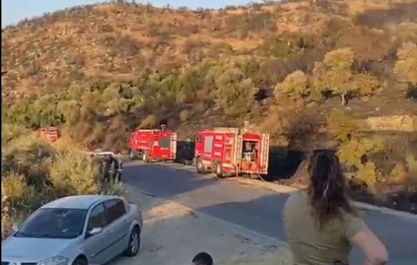 Söke'deki orman yangını kontrol altına alındı