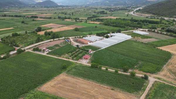 Prof. Dr. Gerçekçioğlu: 'Kış bahar oldu; dona dayanan meyve türleri araştırılmalı'