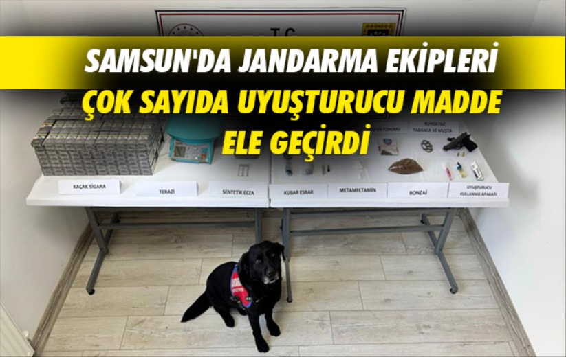 Samsun'da jandarma ekipleri çok sayıda uyuşturucu madde ele geçirdi