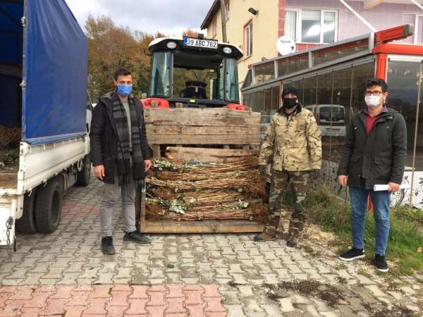 Demirkzöy'de ahududu fidanları dağıtıldı