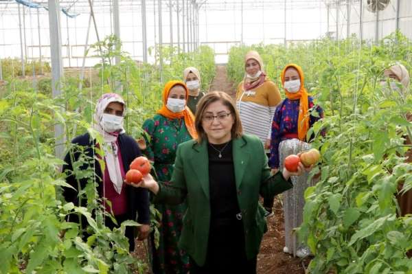 Gaziantep'te şifa paketi ile halka sağlık, esnafa destek sağlanacak