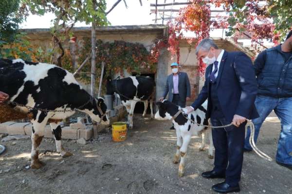Şahinbey'de hayvan yetiştiricilerine destek sürecek