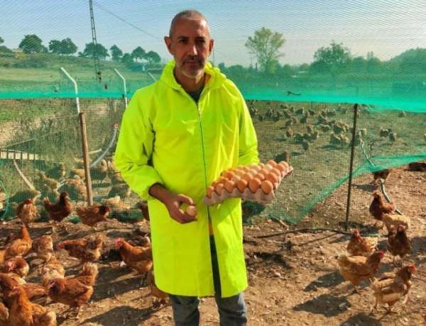 Yumurta üreticisi Bakan Pakdemirli'den destek istiyor