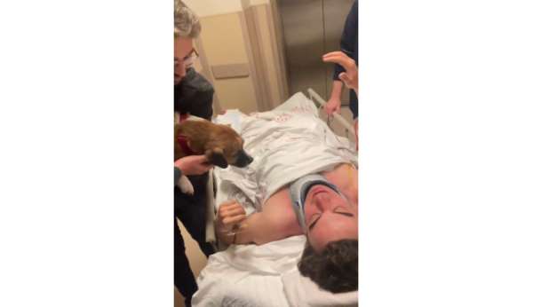 Kaza sonrası İstanbul'a getirilen oyuncu Sergen Deveci, hastanede köpeğiyle kavuştu - İstanbul haber