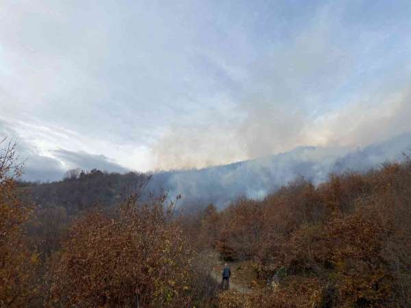 Tokat'ta ormanlık alanda çıkan yangın korkuttu - Tokat haber