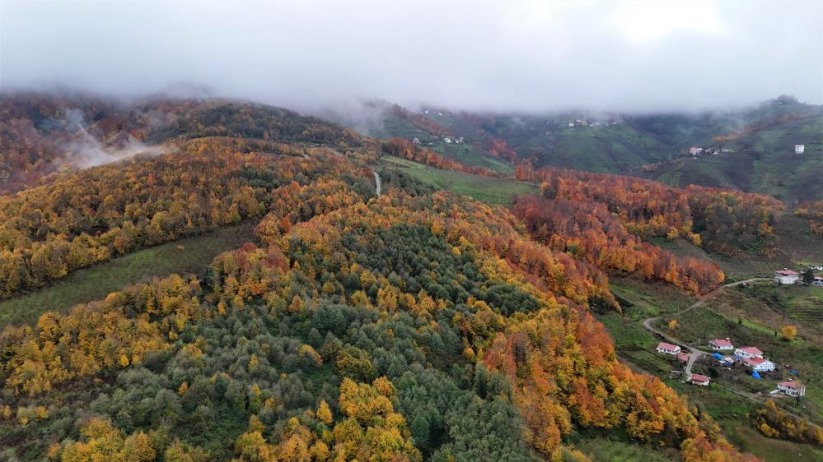 Samsun'da masalsı sonbahar: Tablo gibi görüntüler