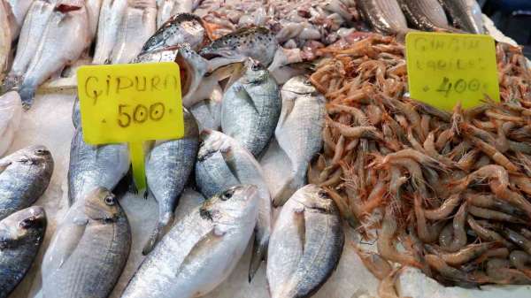 Foça Balık Hali'nde kış sezonu:'Sardalya ve uskumru zamanı'