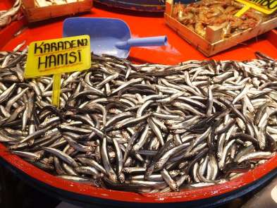 Fiyatlara Gürcü hamsisi de çare olmadı 