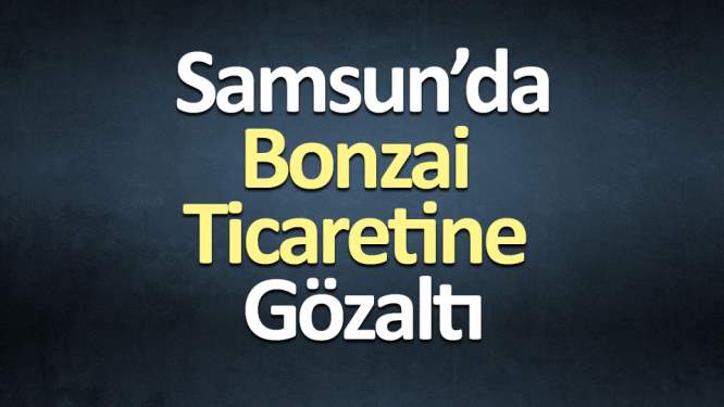 Samsun'da bonzai ticareti