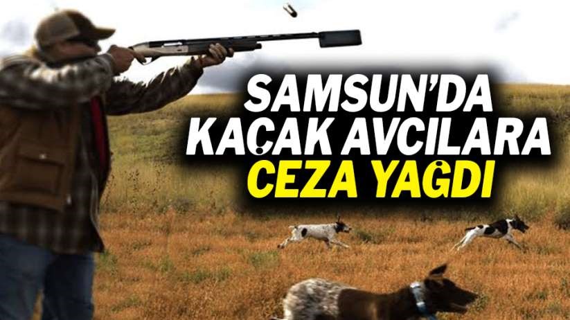 Samsun'da kaçak avcılara ceza yağdı