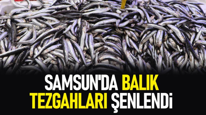 Samsun'da balık tezgahları şenlendi