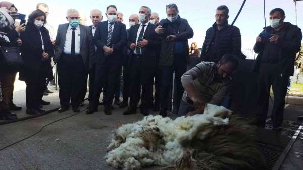 Küçükbaş hayvanlar için kırkım makinesi ve püskürtmeli banyoluk dağıtıldı