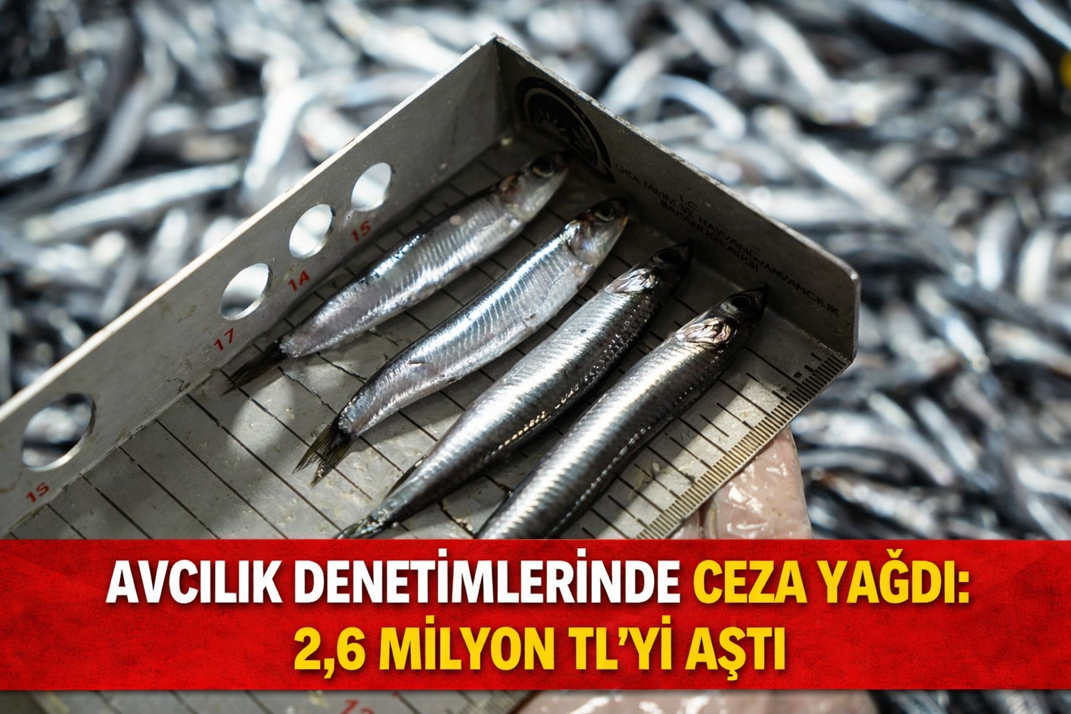 Avcılık denetimlerinde ceza yağdı: 2,6 milyon TL'yi aştı
