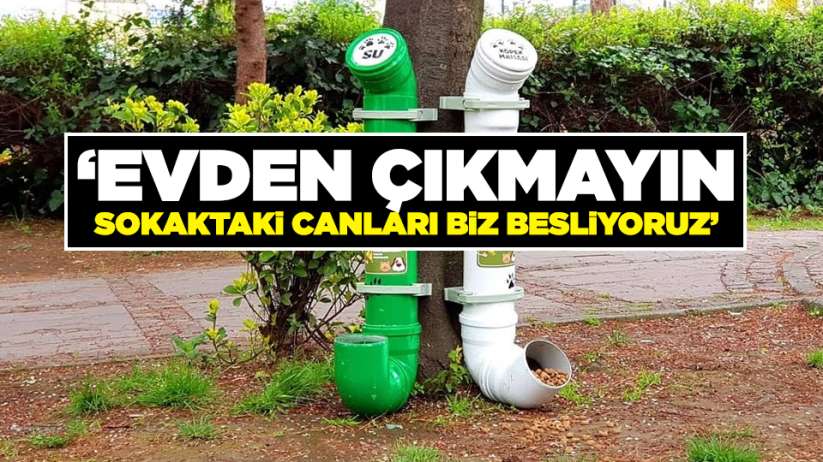 Samsunlulara çağrı! 'Evden çıkmayın, sokaktaki canları biz besliyoruz'