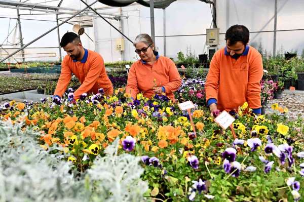 Muratpaşa'dan örnek bitki üretim modeli