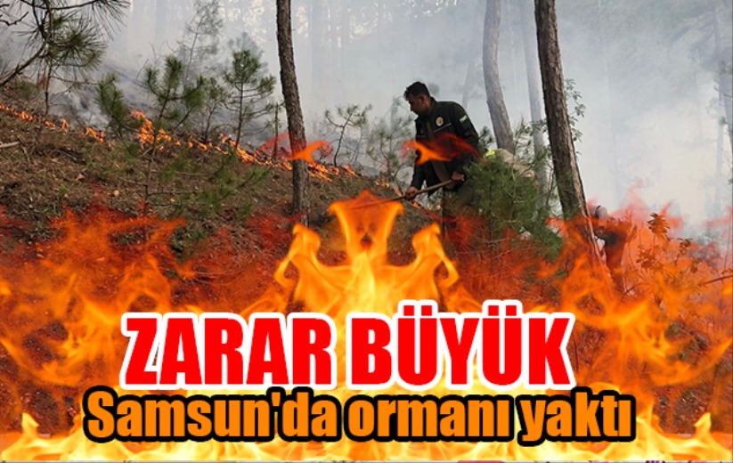 Samsun'da ormanı yaktı, 1,9 hektar alan zarar gördü