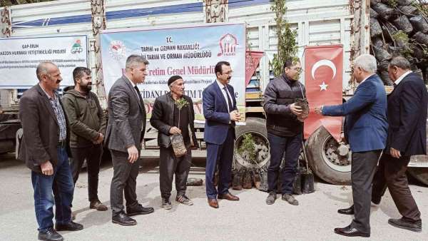 Siirt'te bin 700 dekar üzerine 'Siirt fıstığı' ve 'Trabzon hurması' dikimi yapılacak - Siirt haber