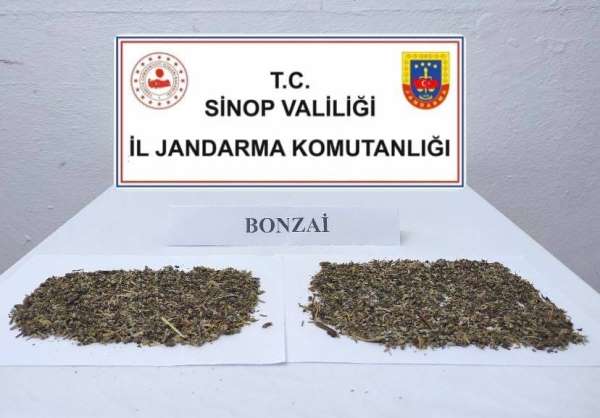 Sinop'ta 10 gram bonzai ele geçirildi