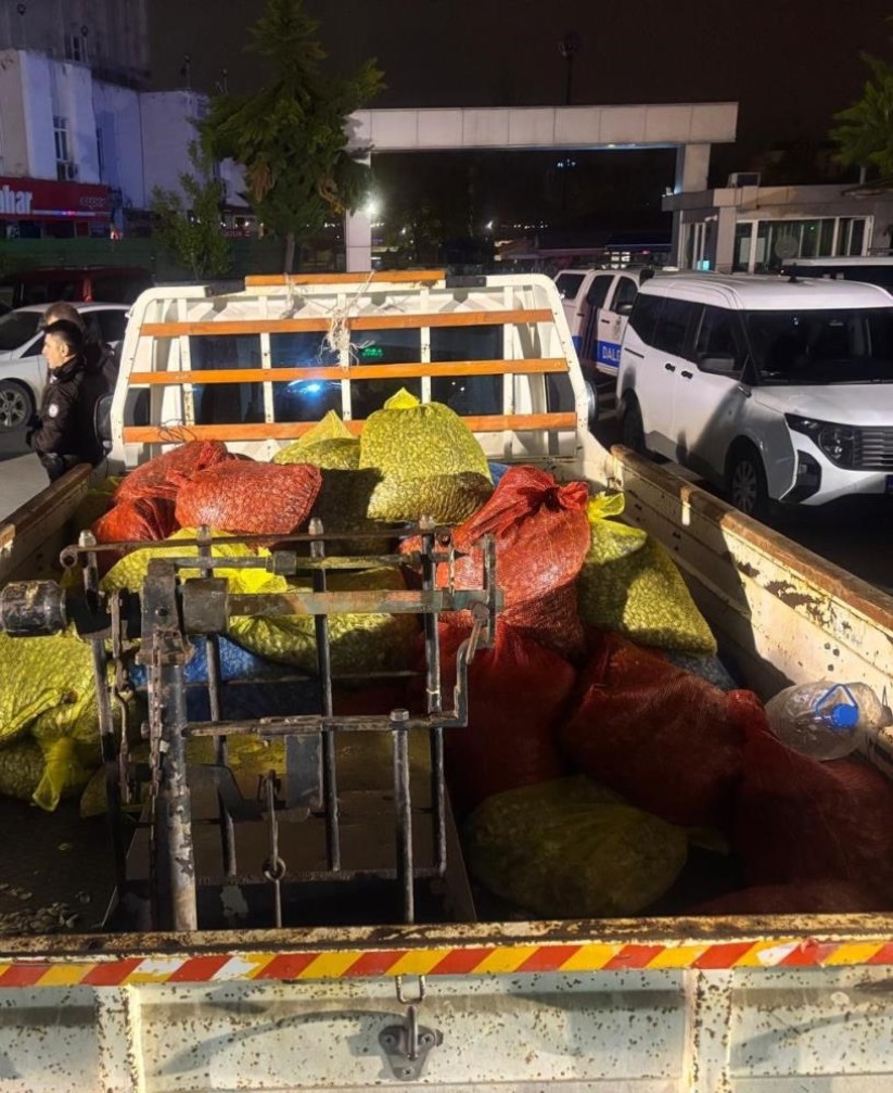 Samsun'da 2 ton kaçak midye ele geçilrildi