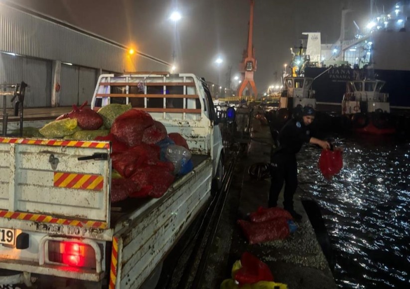 Samsun'da 2 ton kaçak midye ele geçilrildi