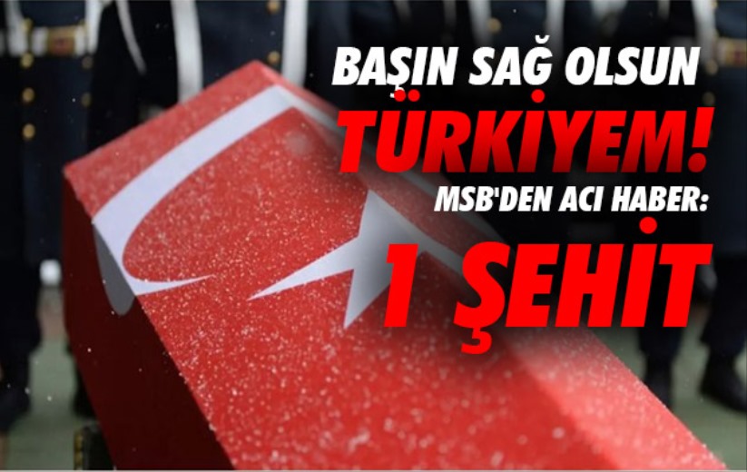 MSB'den acı haber: 1 şehit