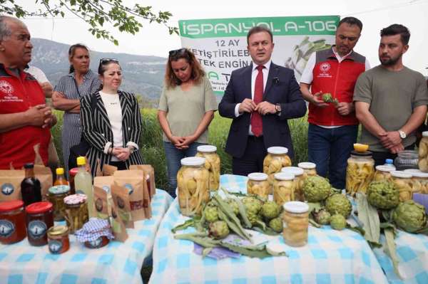 Akçapınar'da 'Hibrit Enginar Hasadı Tarla Günü' düzenlendi