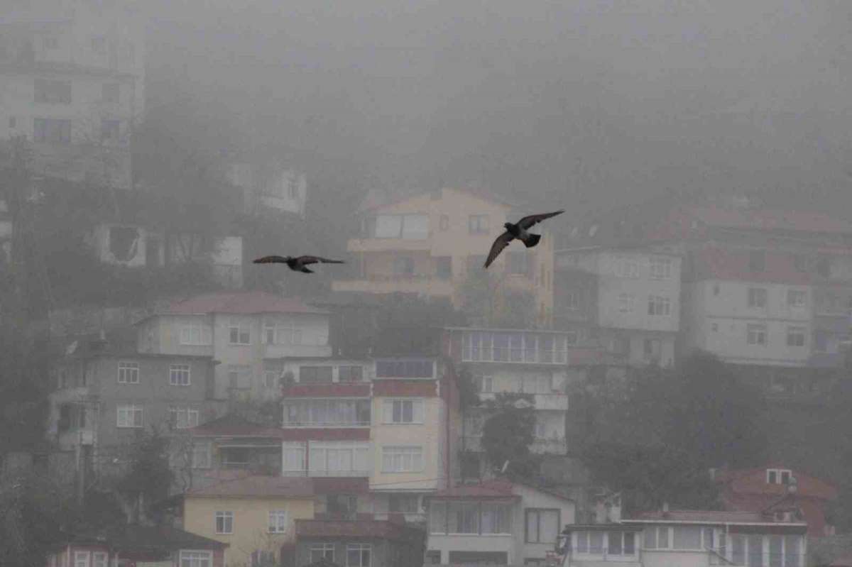 Ordu'da sis etkili oluyor