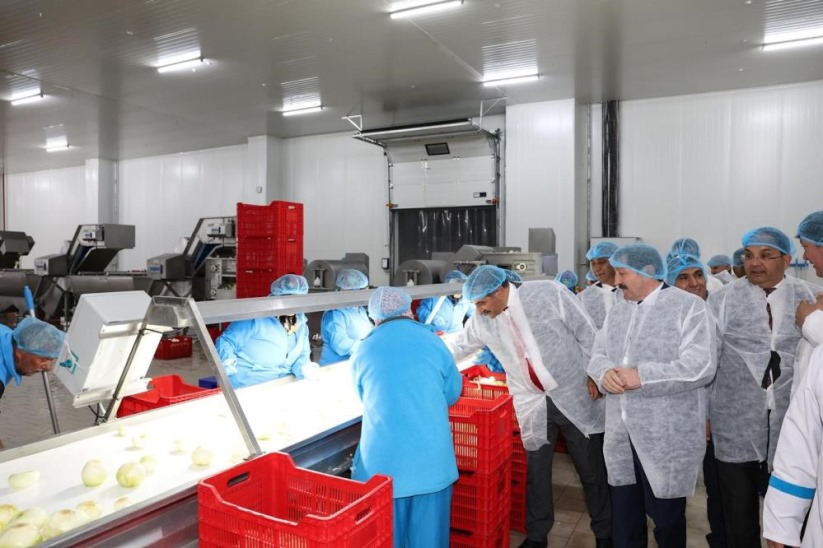 Meyve ve sebze sektöründe Samsun ve İzmir iş birliği